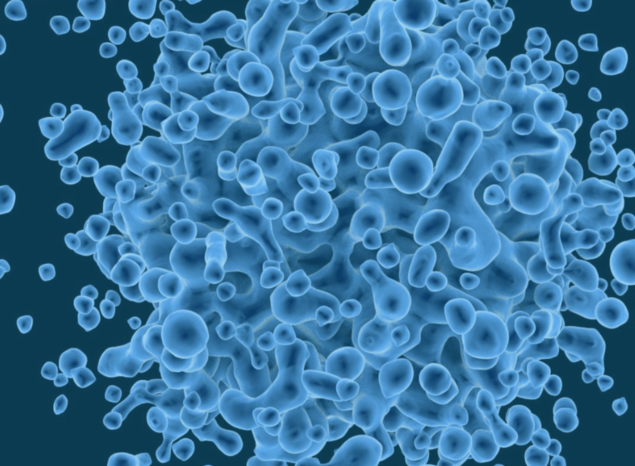 ScienceDaily: Breakthrough bacterial protein