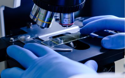 Scienmag: Breakthrough bacterial protein