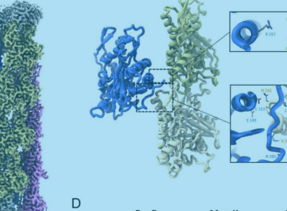 Revolutionise Cancer Drug Delivery