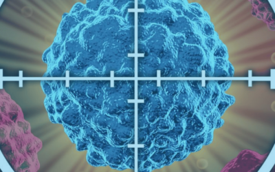 MedTour: Discovery of new protein could revolutionize delivery of anticancer drugs