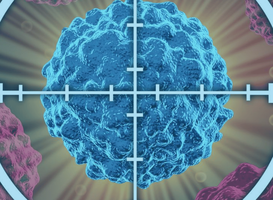 MedTour: Discovery of new protein could revolutionize delivery of anticancer drugs