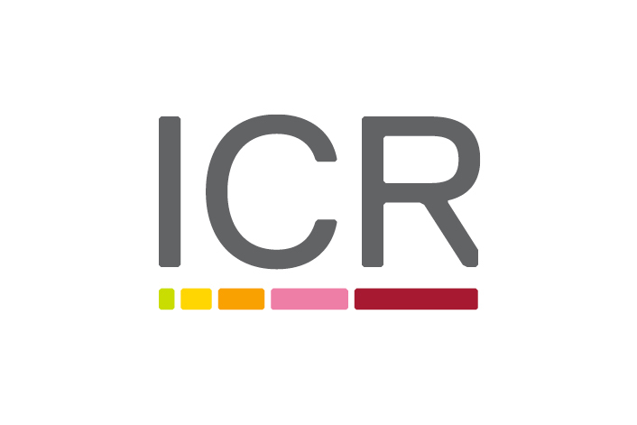 Networking event at ICR Chelsea